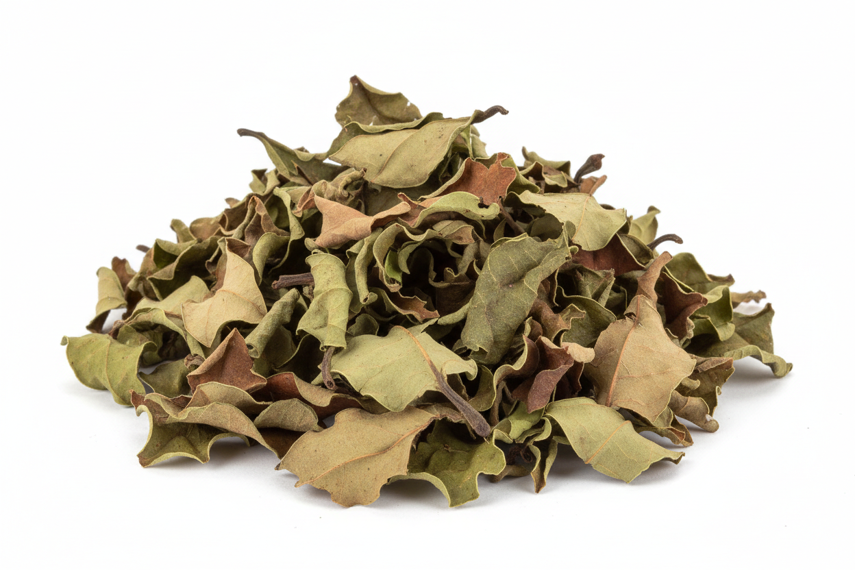 Soursop Tea